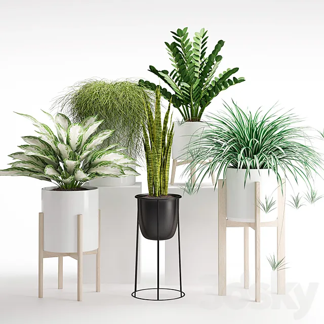 Houseplant 23 3ds Max