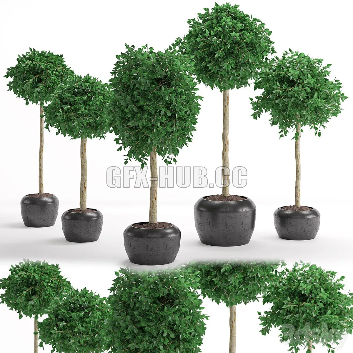 Houseplant 26 3dsMax Model