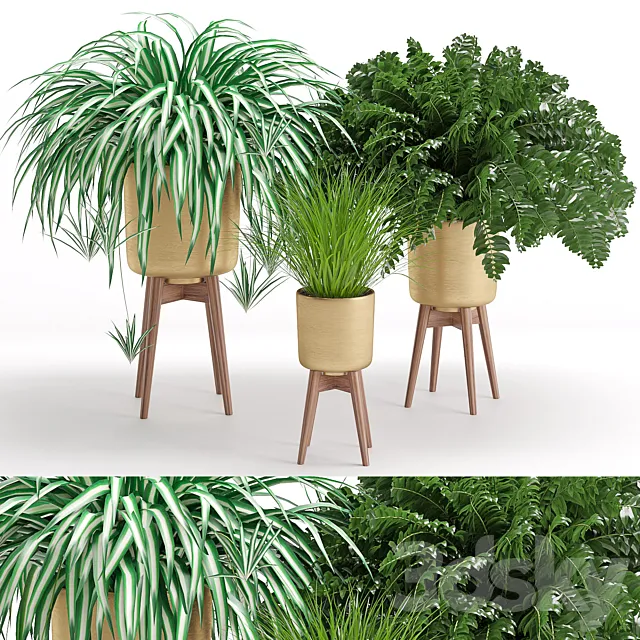 Houseplant 30 3ds Max