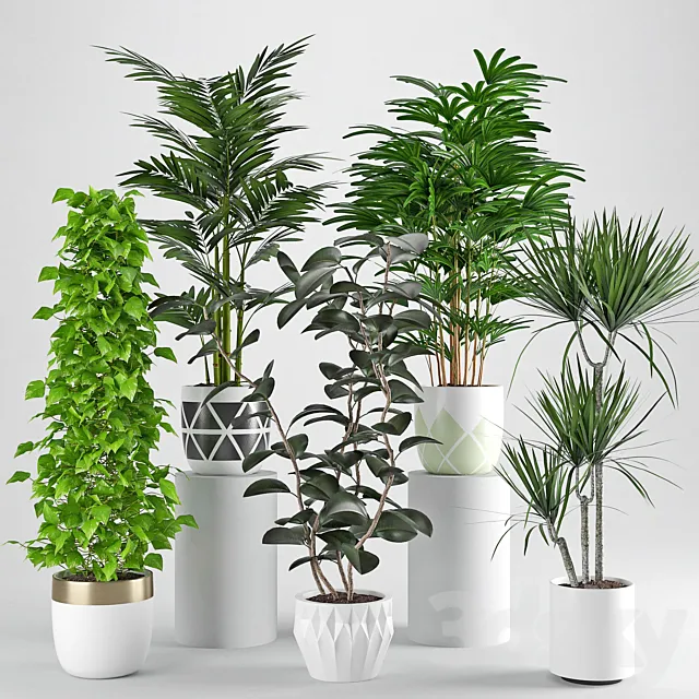 Houseplant 34 3ds Max