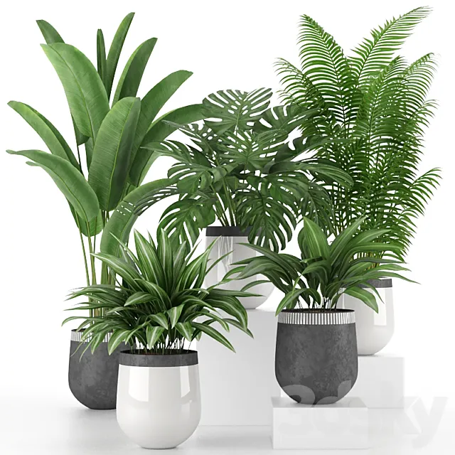 Houseplant Collection 03 3DS Max Model