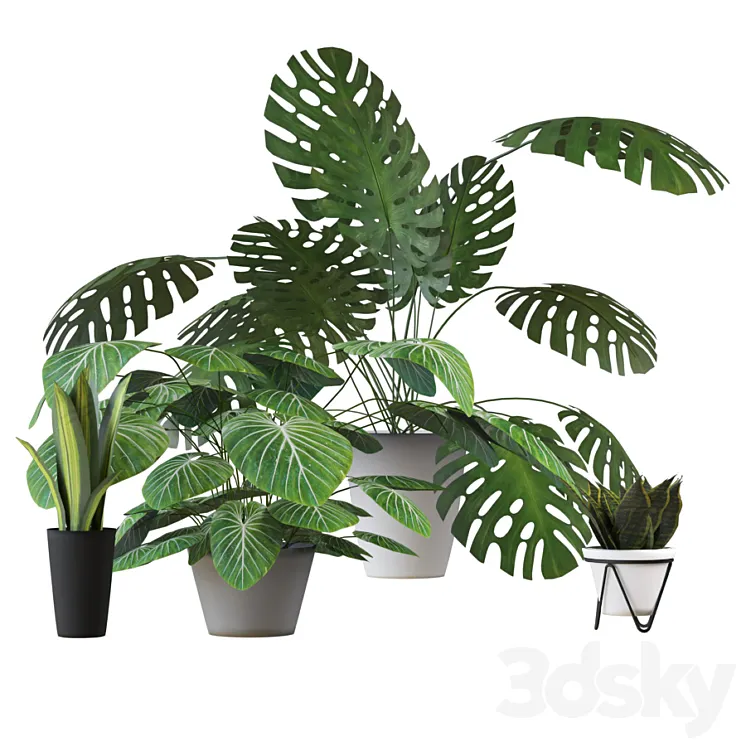 Houseplants set 2 3DS Max