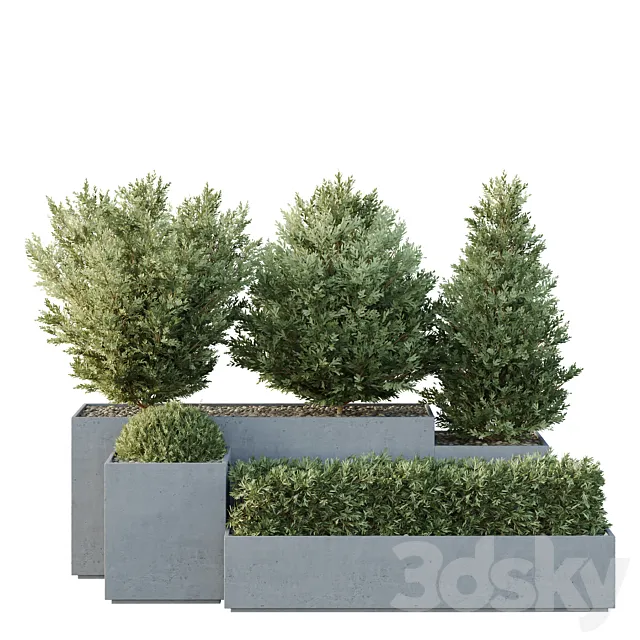 HQ Tree and bush garden box outdoor VOL 27 3ds Max