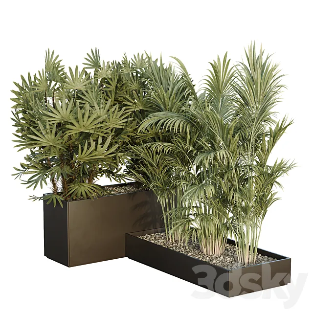 HQ Tree and bush garden box outdoor VOL 44 3ds Max