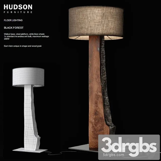 Hudson Black Forest 3dsmax Download