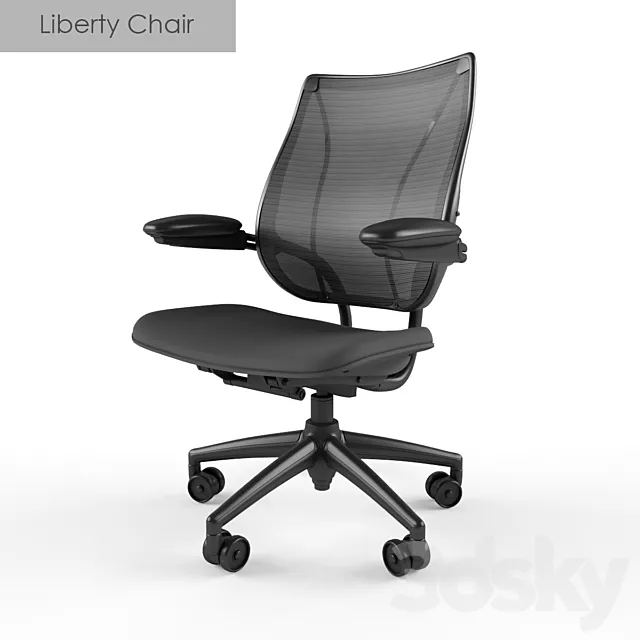 Humanscale Liberty Chair 3DSMax File