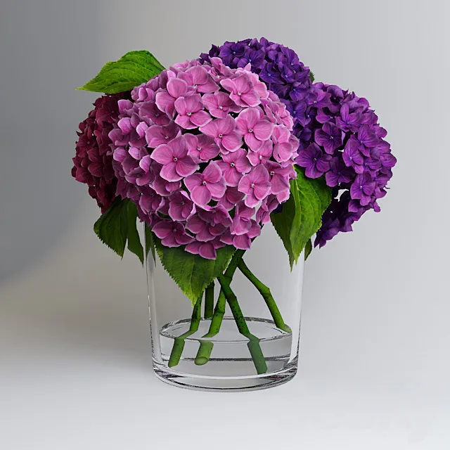 Hydrangea 3ds Max