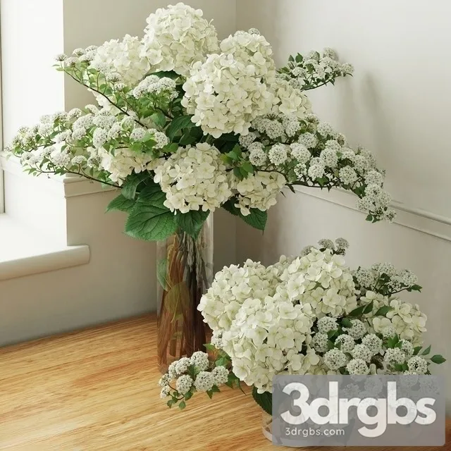 Hydrangea Bouquet 2 3dsmax Download