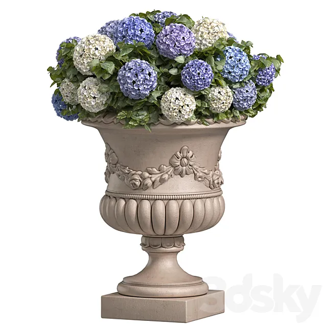 Hydrangea in a classic vase for decoration facade.Flowers Garden Plant Flowerpot Patio 3ds Max