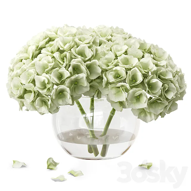 Hydrangea in a vase 3dsMax Model