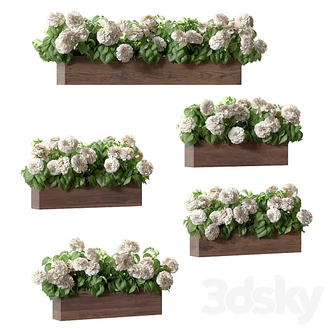 Hydrangea plant in a flowerpot for the facade. 5 models 3ds Max