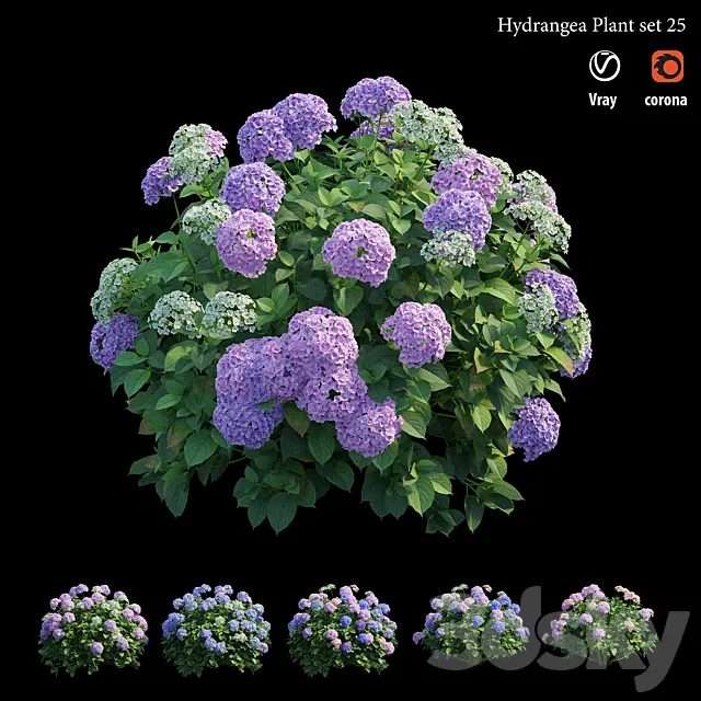 Hydrangea Plant set 25 3DS Max Model