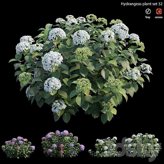 Hydrangea Plant set 32 3ds Max