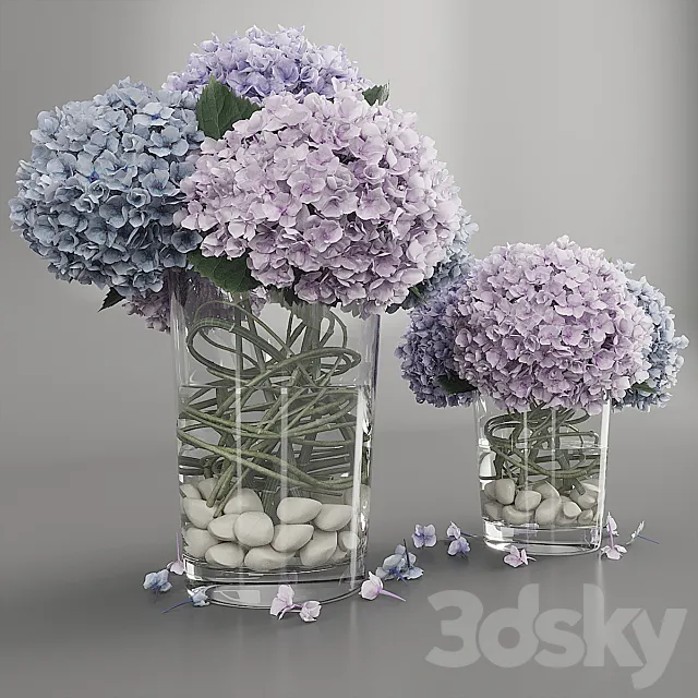 Hydrangea purple blue 3DS Max Model