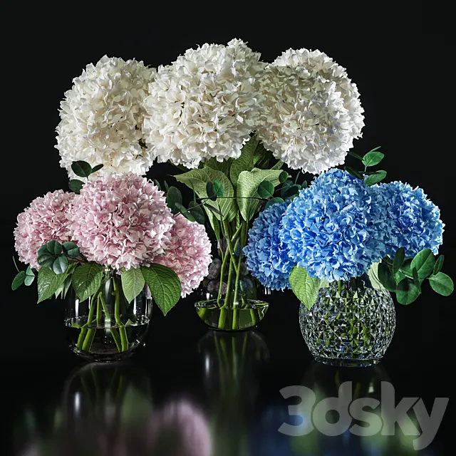 Hydrangea set 001 3DS Max Model