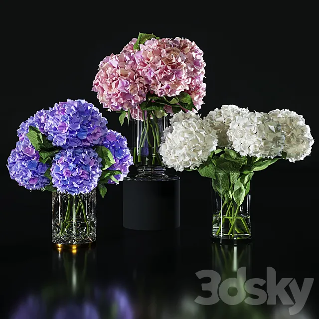 Hydrangea set 002 3dsMax Model