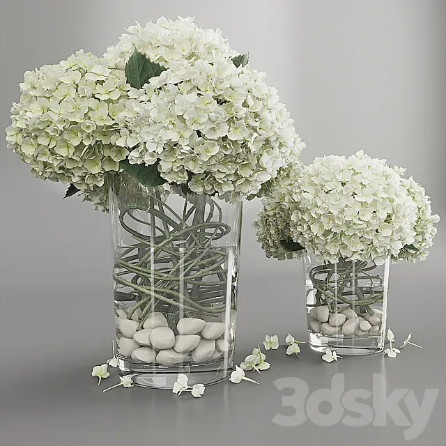 Hydrangea white 3DS Max Model