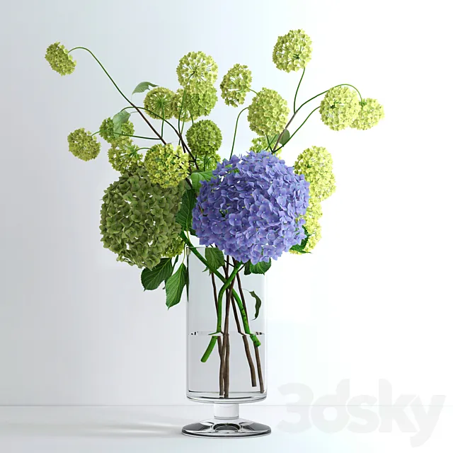 Hydrangeas and Viburnum 3DSMax File