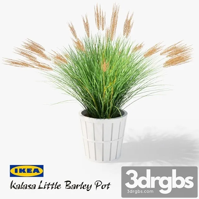 Ikea Kalasa Plant Pot And Little Barley 3dsmax Download