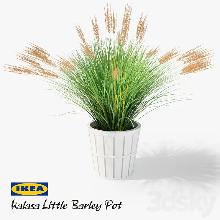 IKEA Kalasa Plant Pot and Little Barley 3DS Max