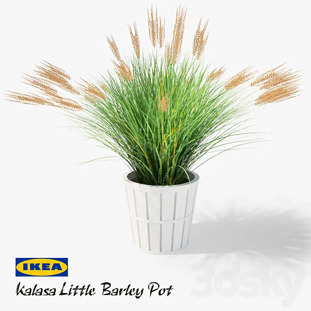 IKEA Kalasa Plant Pot and Little Barley 3DSMax File