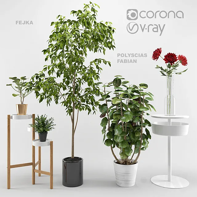 Ikea plants set 3DS Max Model