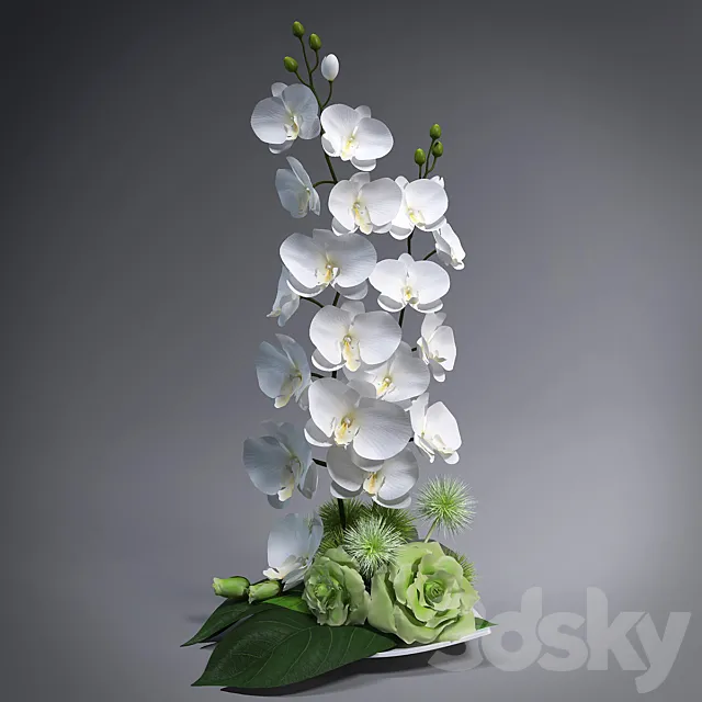 Ikebana with orchids 3DS Max Model