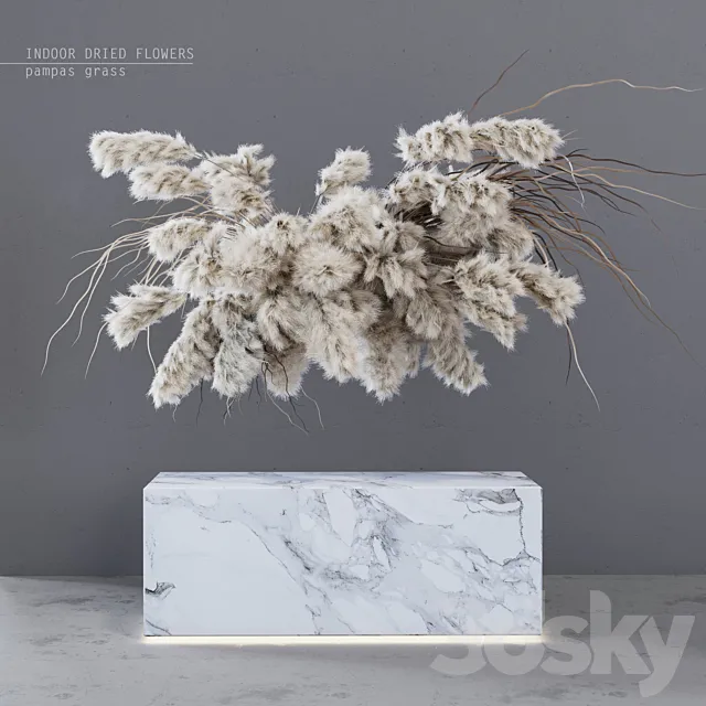 INDOOR DRIED FLOWERS _ pampas grass 3DSMax File