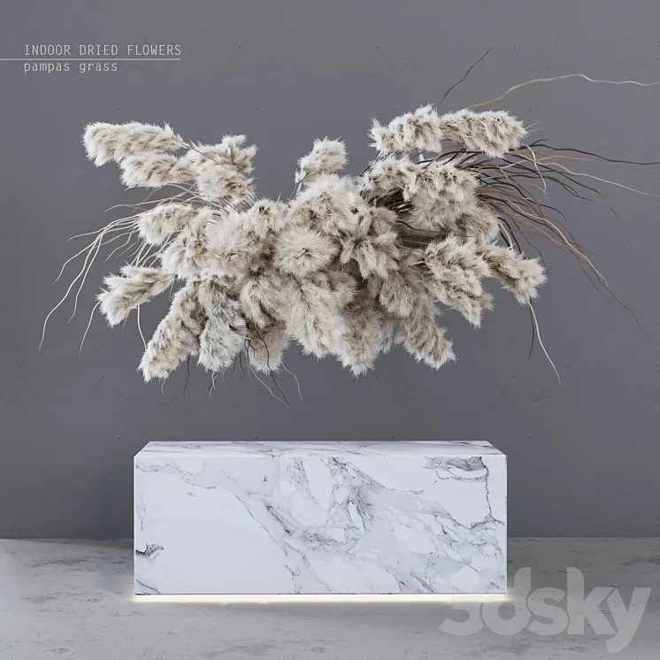 INDOOR DRIED FLOWERS \/ pampas grass 3DS Max