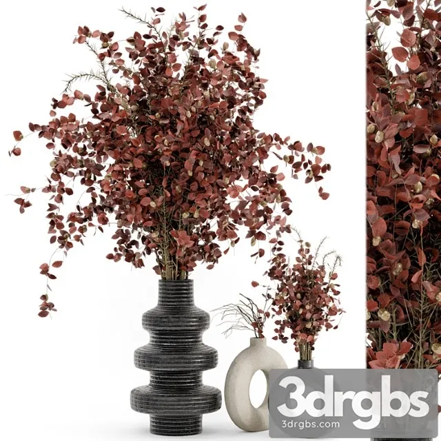 Indoor dry plants in rusty concrete pots – set 509