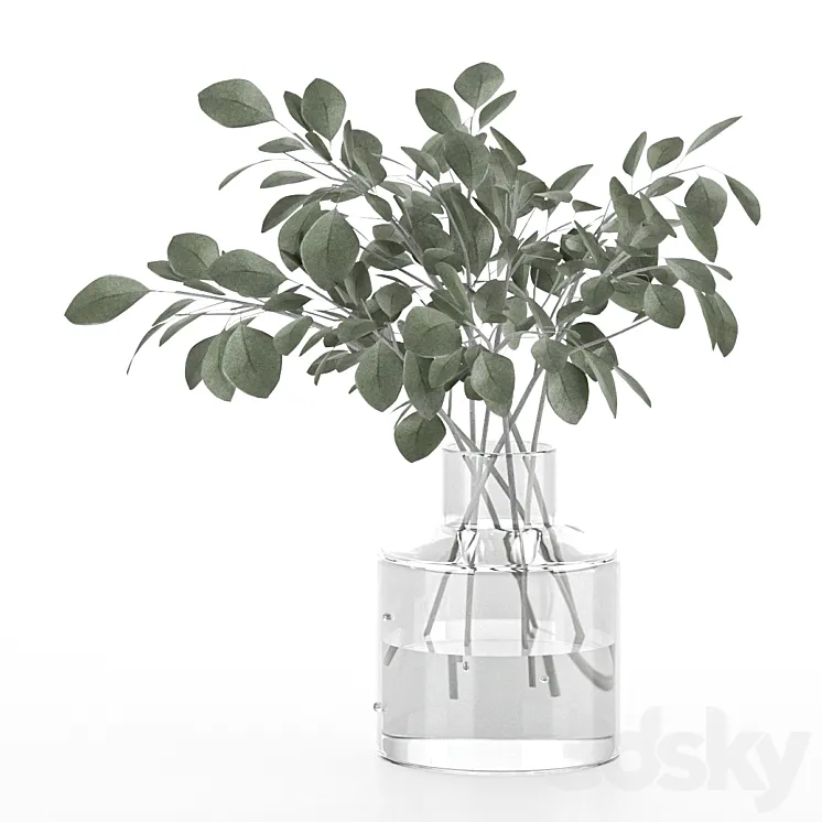 indoor eucalyptus plant in glass vase 3DS Max Model