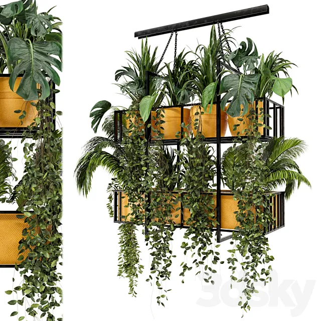 Indoor Hanging Plants in Metal Box – Set 103 3DS Max Model