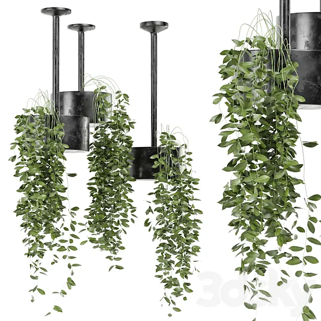 indoor hanging plants in metal box set 134 3ds Max