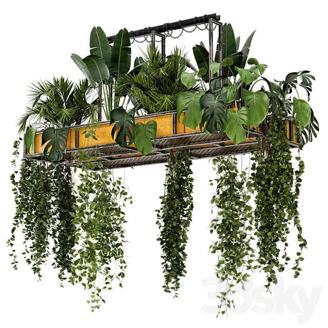 Indoor Hanging Plants in Metal Box – Set 146 3DSMax File