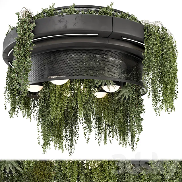 Indoor Hanging Plants in Metal Box – Set 1506 3ds Max