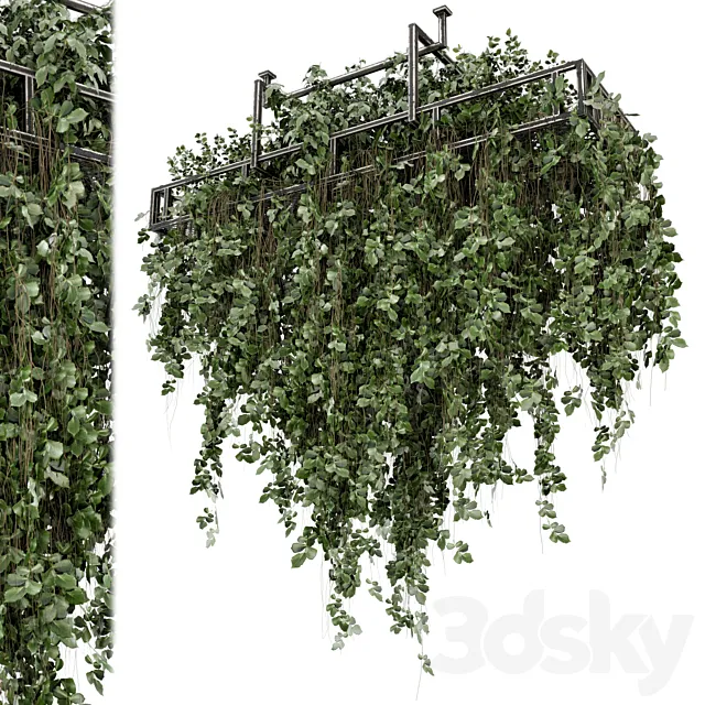 Indoor Hanging Plants in Metal Box – Set 2009 3DS Max Model