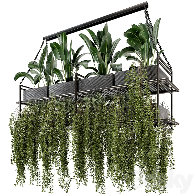 Indoor Hanging Plants in Metal Box – Set 269 3DS Max Model