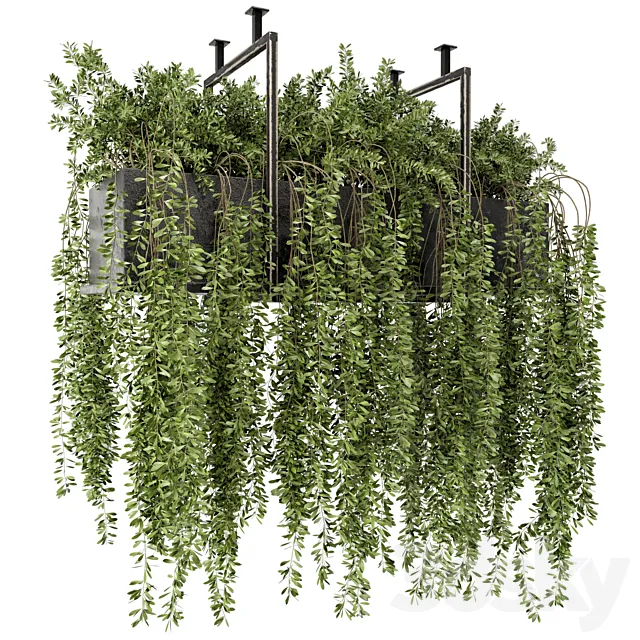 Indoor Hanging Plants in Metal Box – Set 303 3ds Max