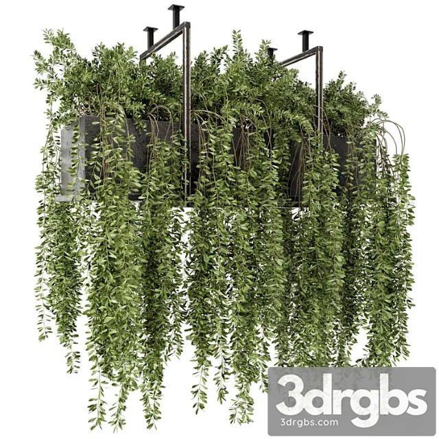 Indoor hanging plants in metal box – set 303