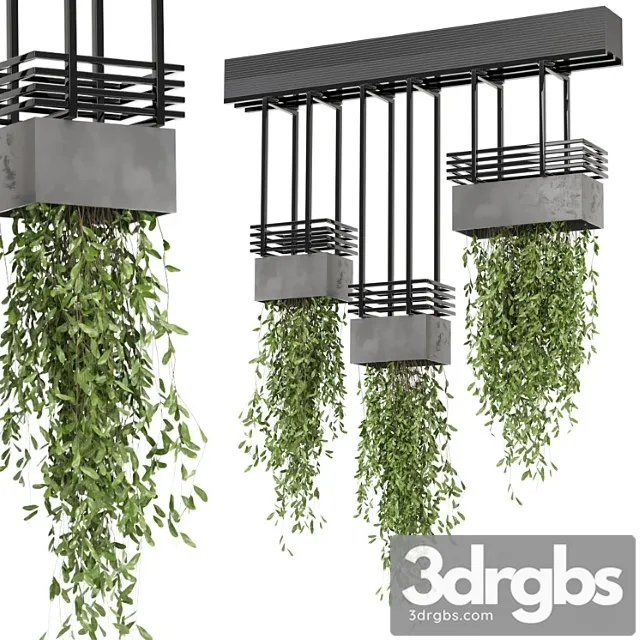 Indoor hanging plants in metal box  – set 682