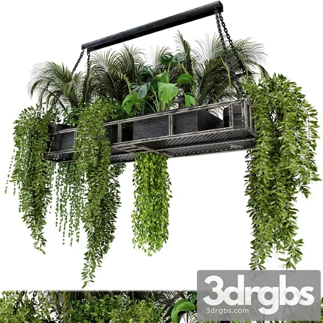 Indoor hanging plants in metal box – set 71