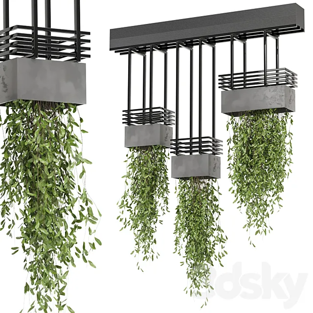 indoor hanging plants in metal box_ – Set 682 3ds Max