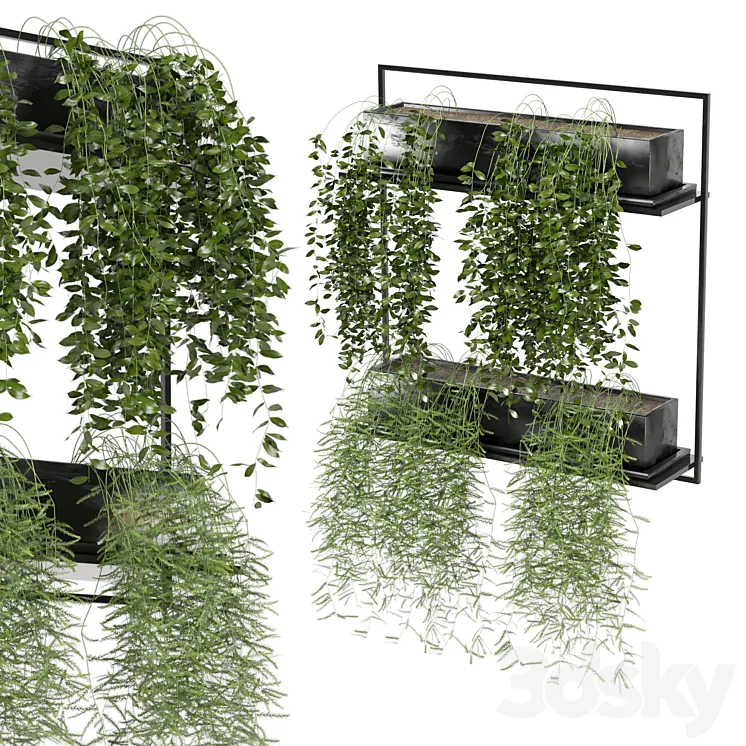 indoor hanging plants in metal box_set 142 3DS Max Model