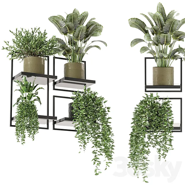 indoor hanging plants in metal box_set 332 3ds Max