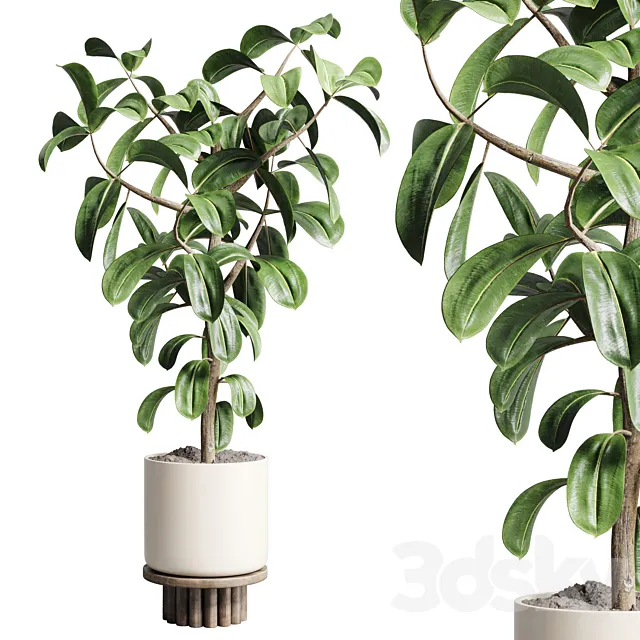Indoor outdoor plant 106 wood vase pot ficus rubbery 3DSMax File