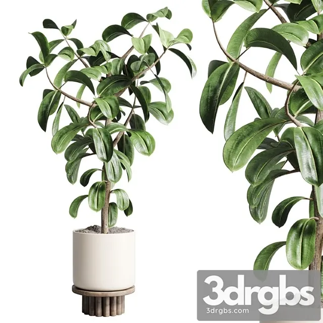 Indoor outdoor plant 106 wood vase pot ficus rubbery