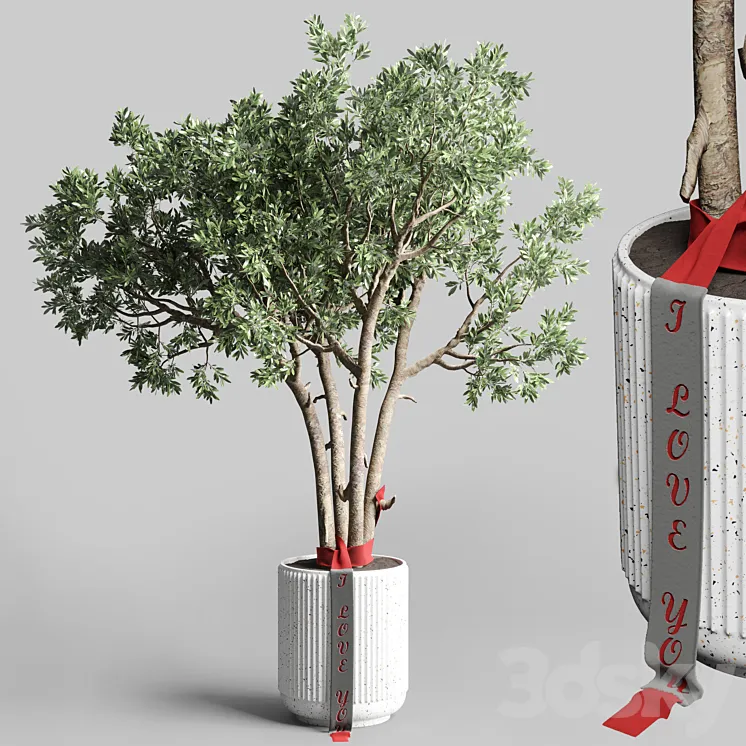 Indoor outdoor plant 111 pot friendship-love tree concrete vase 3DS Max Model