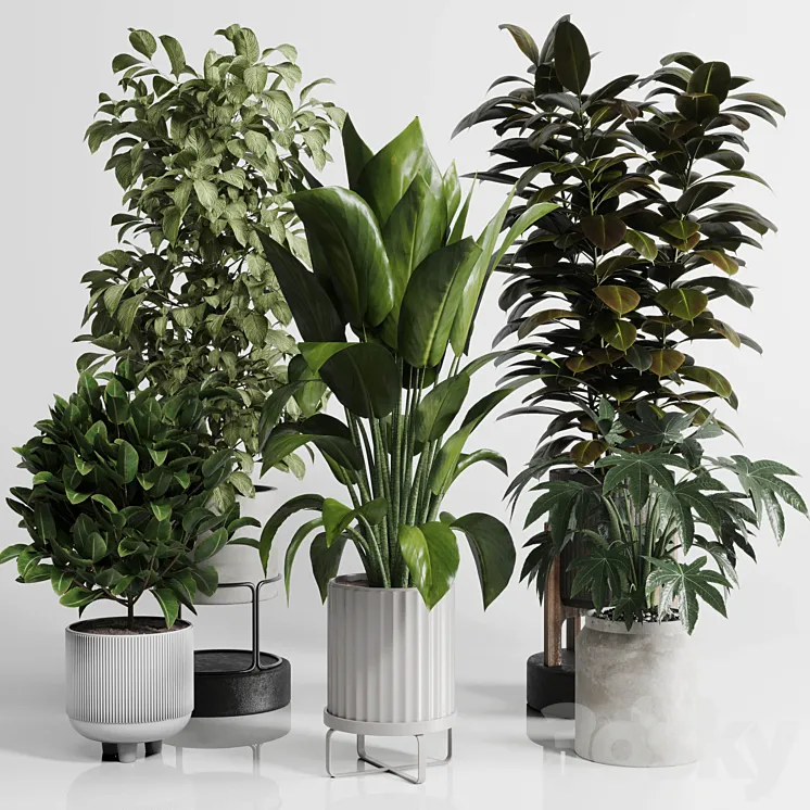 Indoor Outdoor plant Set 289 plant ficus rubbery tree vase dirty concrete 3DS Max
