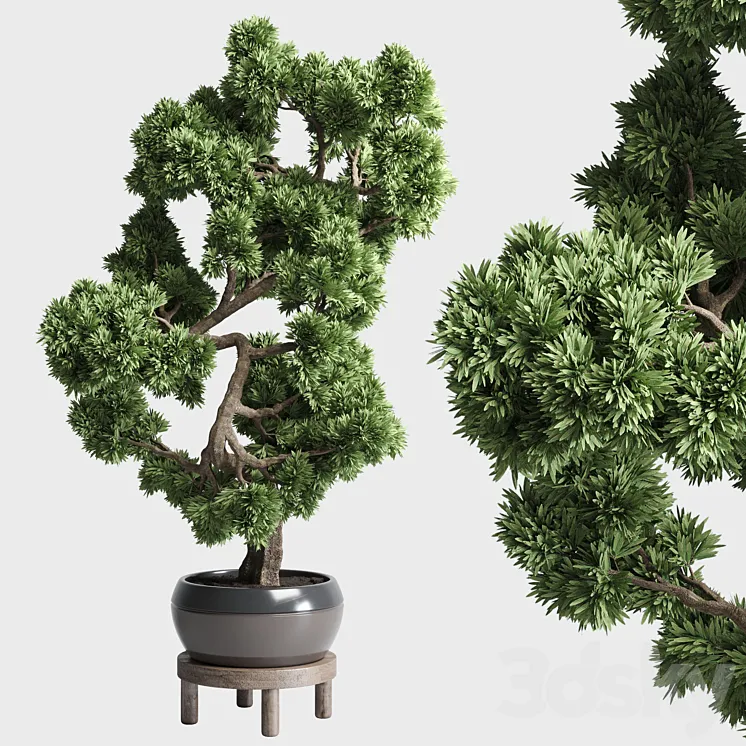 indoor outdoor plants 134 pots tree bonsai 3DS Max