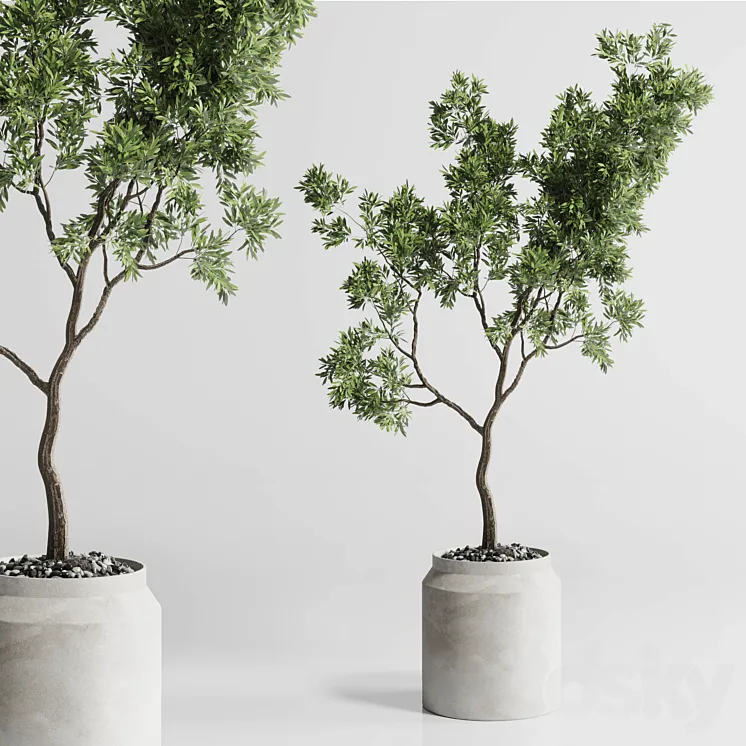 Indoor plant 285 concrete dirt vase plant tree pot 3DS Max Model